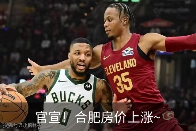 官宣！合肥房价上涨~