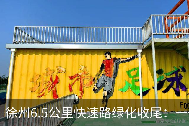 徐州6.5公里快速路绿化收尾：一条高架的价值，一半在桥面上，一半在桥下