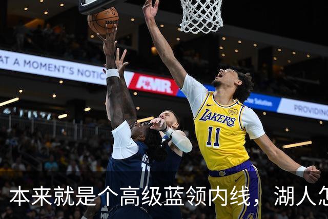 本来就是个高级蓝领内线，湖人怎么能指望他做到面面俱到？